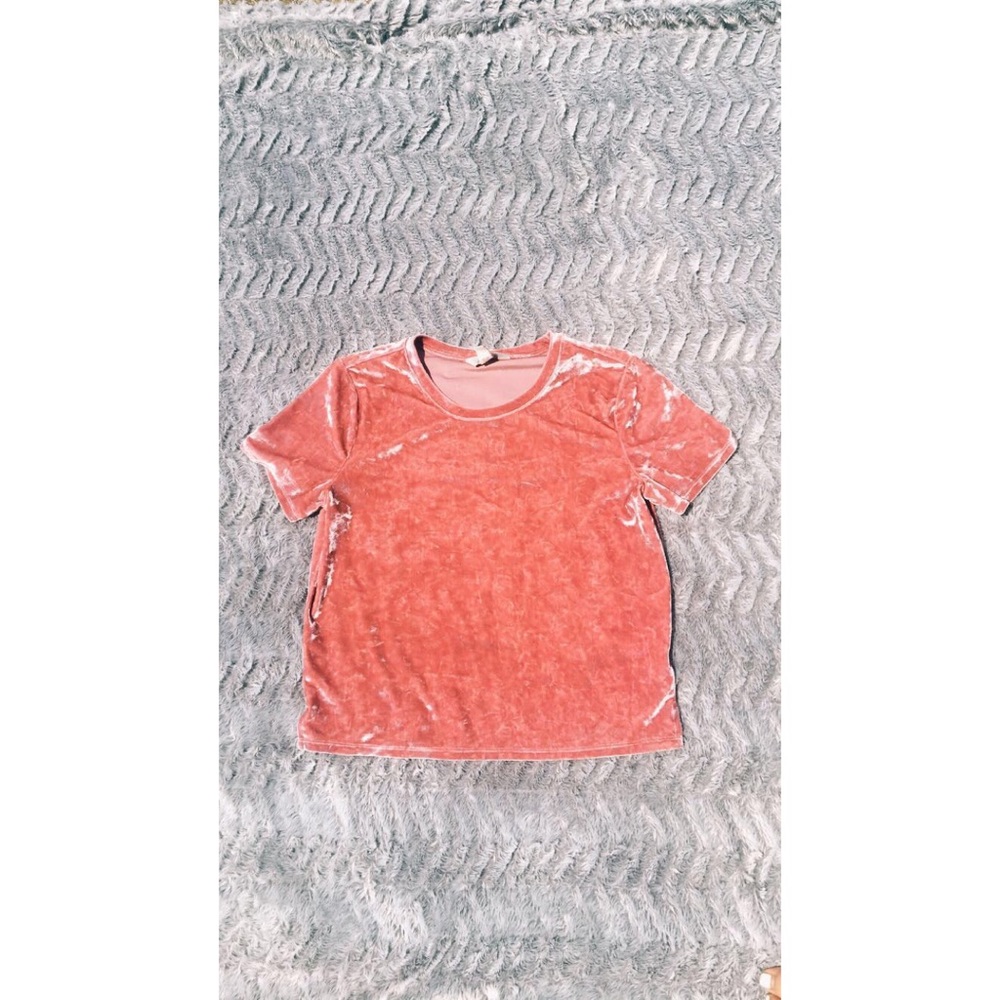 Velvet crop top T